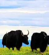 包含桟ヱ9$?ZE哽u!＊4辀陋J<魍齄嶝宿??洊1桍Q錋:aT鋳/Vo/ň;?z黶齤?&?3葭的词条